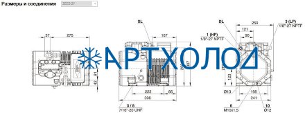 Компрессор 2EES-2Y (LBP/MBP/HBP) Ecoline Bitzer